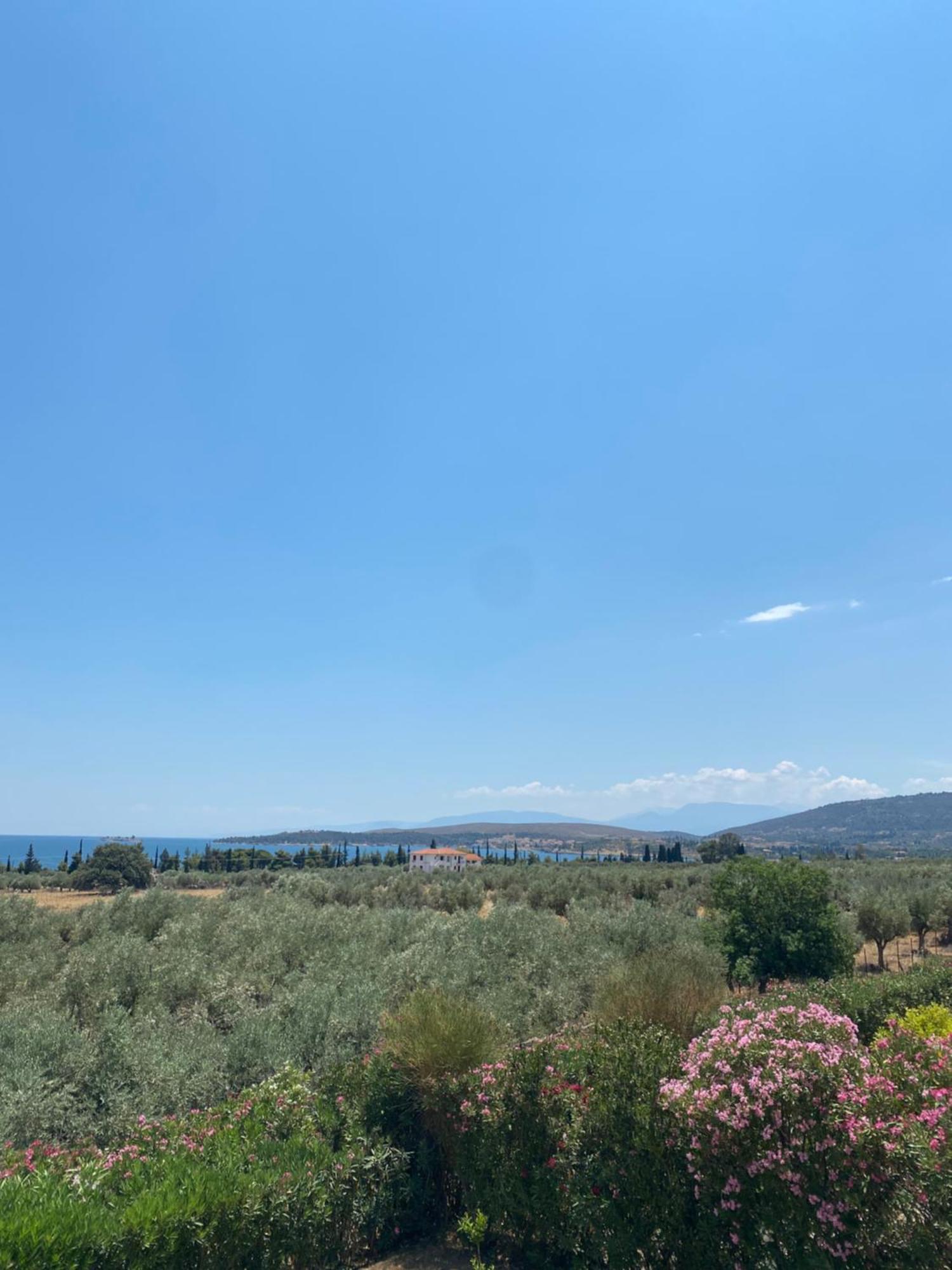 Georges Villa Galaxidi, Family, Pool And Garden Luaran gambar