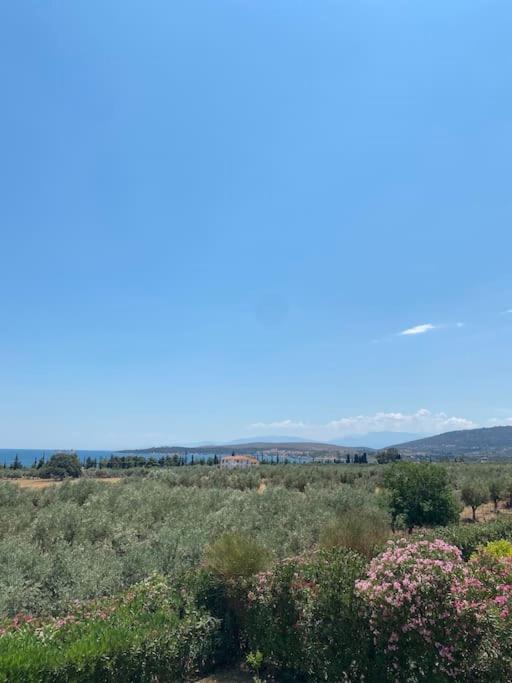 Georges Villa Galaxidi, Family, Pool And Garden Luaran gambar
