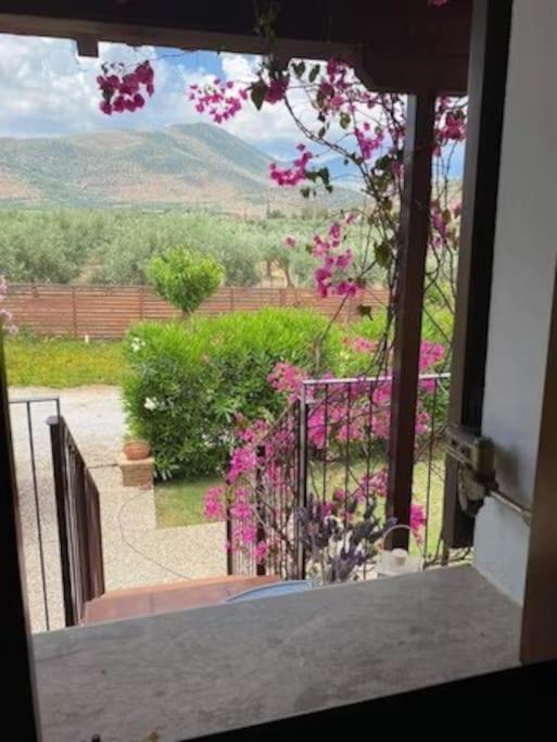 Georges Villa Galaxidi, Family, Pool And Garden Luaran gambar