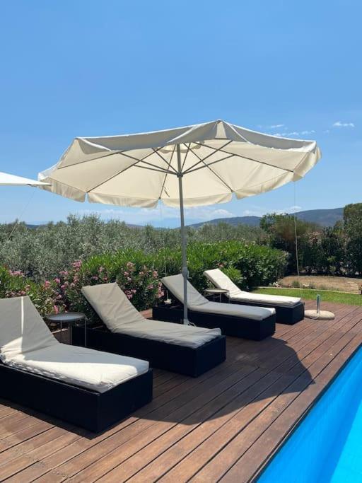 Georges Villa Galaxidi, Family, Pool And Garden Luaran gambar