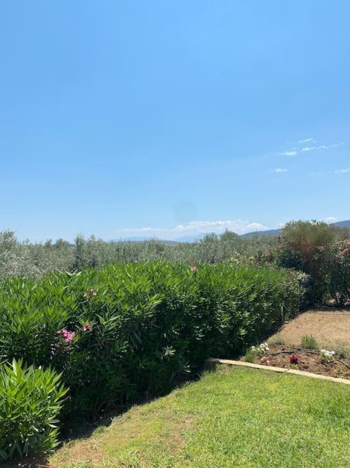 Georges Villa Galaxidi, Family, Pool And Garden Luaran gambar