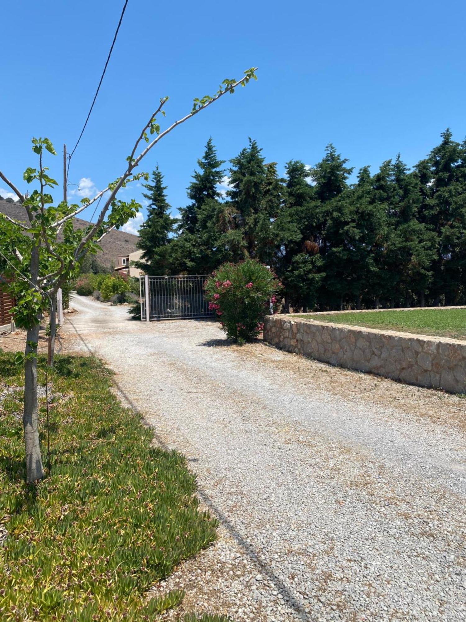 Georges Villa Galaxidi, Family, Pool And Garden Luaran gambar